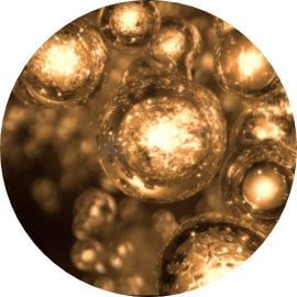 Antioxidant Complex icon